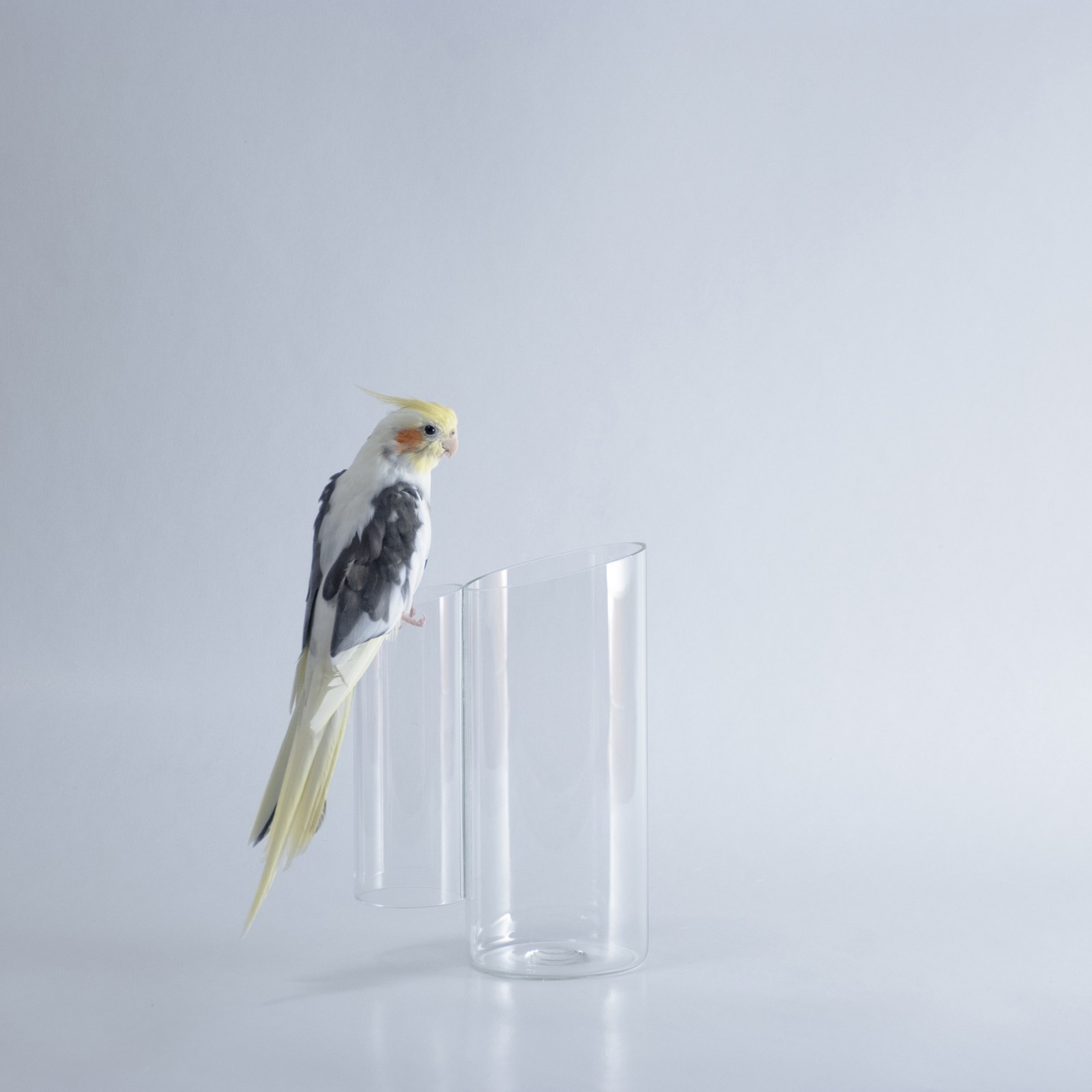 Brocca To-Be in vetro borosilicato trasparente, design Alessandro Marelli